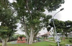 Jalan Chorak (D19), Terrace #586186441
